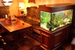 Thiết kế bể cá theo phong thủy